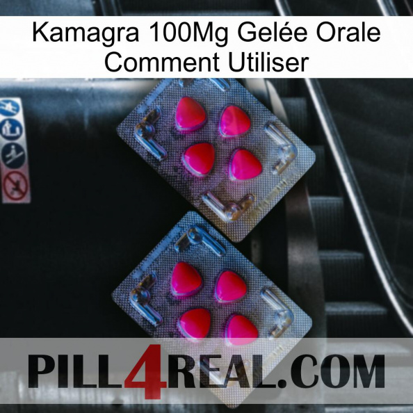 Kamagra 100Mg Gelée Orale Comment Utiliser 14